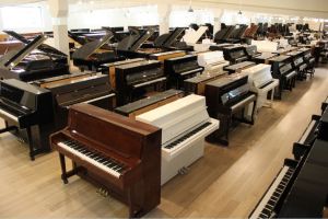 sala wyboru pianina fortepianu
